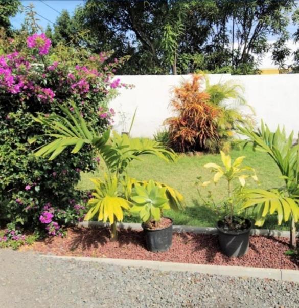 Jolie Maison T3 A St Pierre, 2 Chambres Avec Sdb, Grande Varangue, Jardin Saint Pierre Buitenkant foto